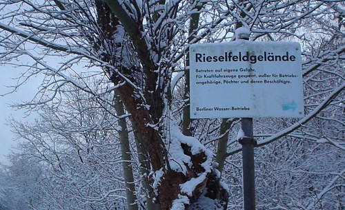 Rieselfelder