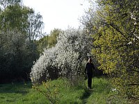 25.04.10