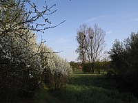 25.04.10
