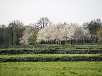 25.04.10