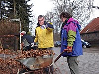 laub11