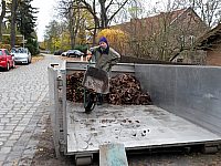 laub17