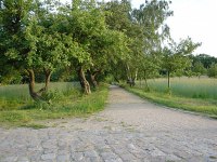Havelmathen