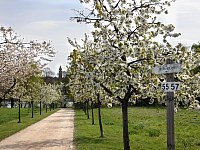 Schönes Gatow