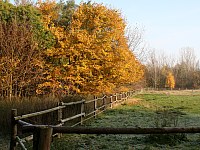 Pferdekoppel