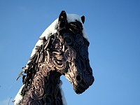 Hufeisenpferd
