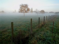 Rieselfelder