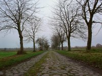 Rieselfelder