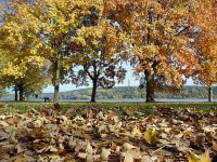 an der Havel