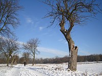 Winter 2009