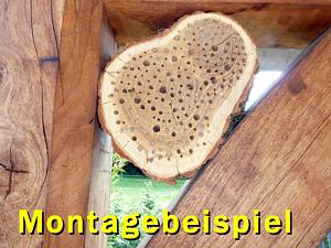 Montagebeispiel